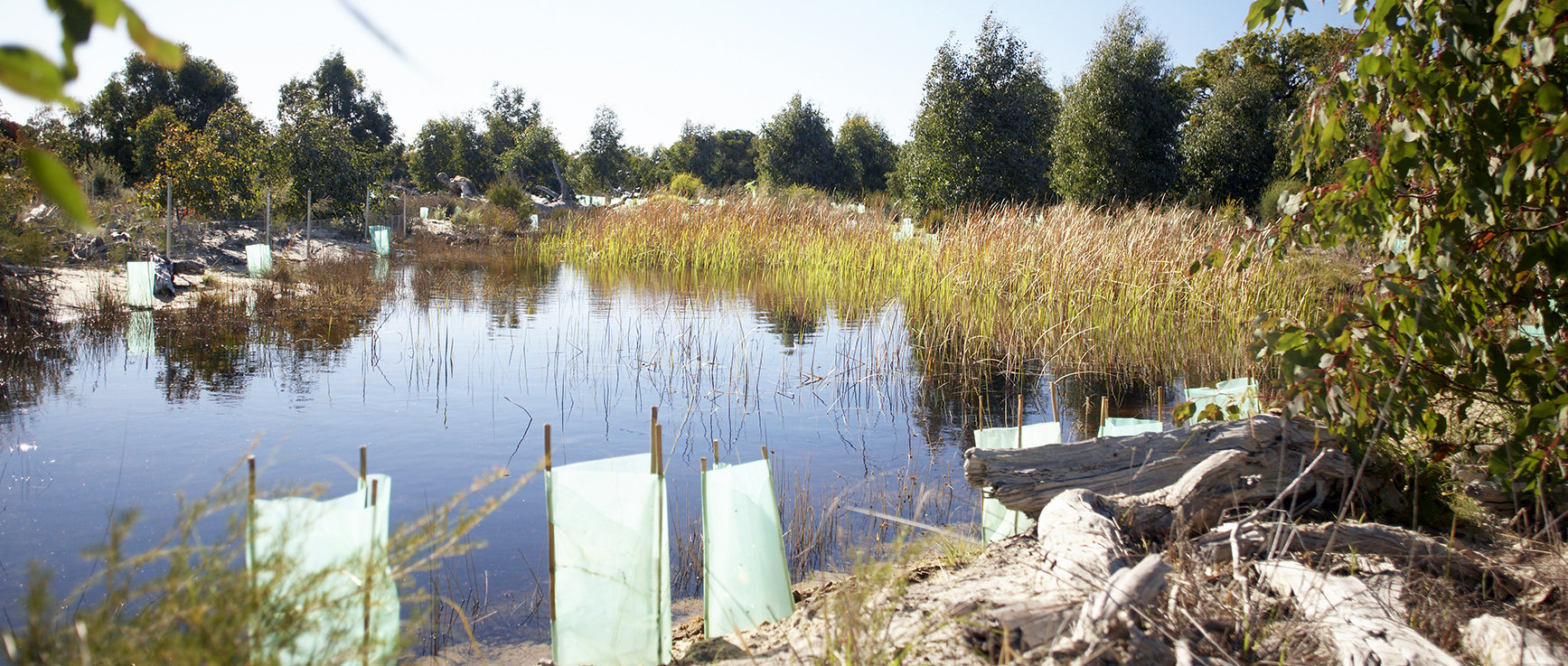 Environment and sustainability