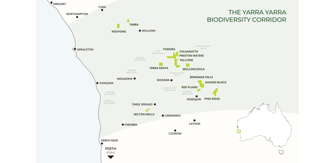 Yarra Yarra Biodiversity Corridor