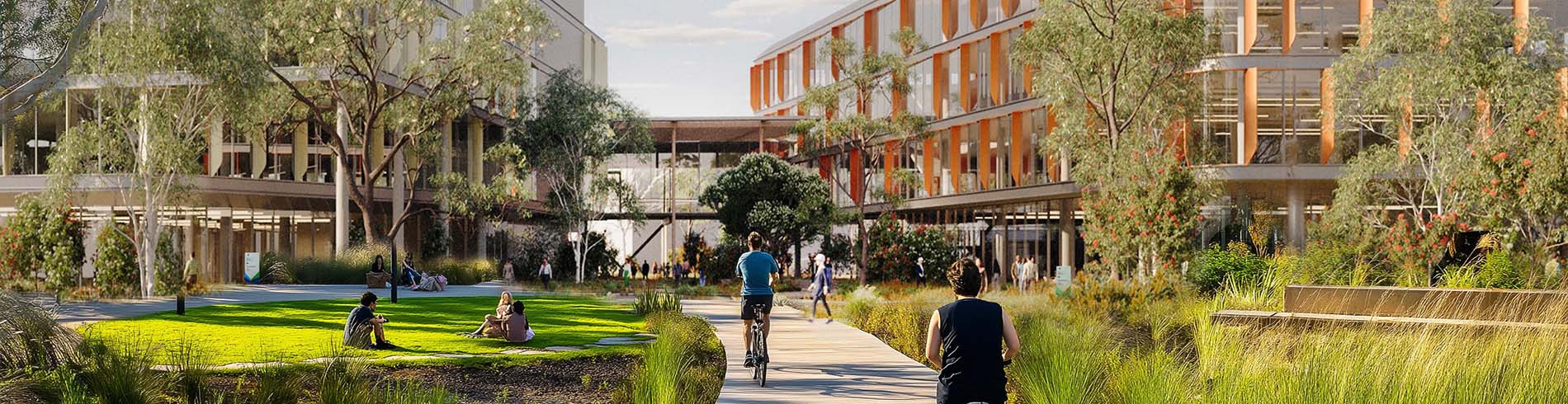 Artist rendering of future Office Campus